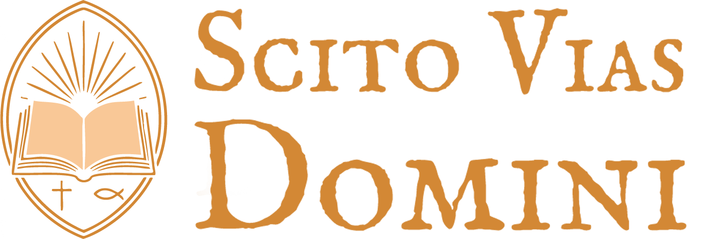 Scitoviasdomini